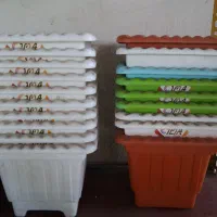 گل و گلدان|خدمات باغبانی و درختکاری|لاهیجان, شیشه گران|دیوار