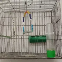 قفس پرنده|لوازم جانبی حیوانات|چهاردانگه (تهران), |دیوار