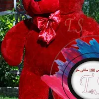 خرس ولنتاین زرشکی