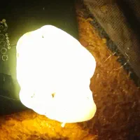 سنگ عقیق|کلکسیون و سرگرمی|گرگان, |دیوار