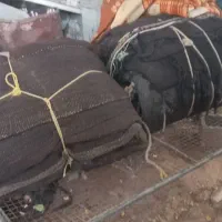 سیاه چادر(بهون)