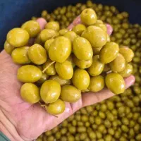 زیتون وخیارشور