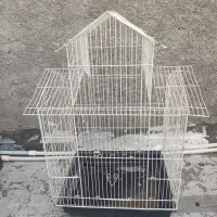 قفس پرنده|لوازم جانبی حیوانات|رباط‌کریم, رباط‌کریم|دیوار