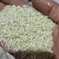 برنج و نیم دانه درشت عنبربو شوشتر|عمده‌فروشی|کارون, |دیوار