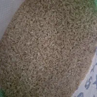 برنج ممسنی|خوردنی و آشامیدنی|بوشهر, |دیوار