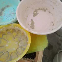 لگن برای پرنده|لوازم جانبی حیوانات|فردیس, سرحدی|دیوار