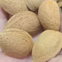 گردو  درجه یک ایرانی