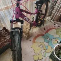 حراج دوچرخه|دوچرخه، اسکیت، اسکوتر|رشت, سیا اسطلخ|دیوار