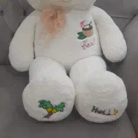 فروش خرس شاسخین