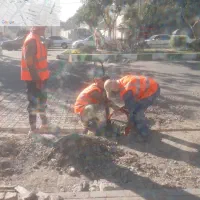 سرپرست کارگاه پروژه های مخابراتی|استخدام معماری، عمران و ساختمانی|مشهد, هنرور|دیوار