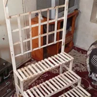 استند‌شلف‌جاگلدونی