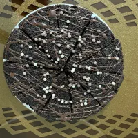 کیک کافی شاپی|خدمات پذیرایی، مراسم|بروجرد, |دیوار