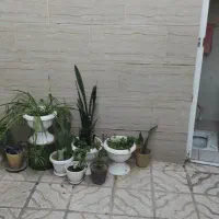 رهن و اجاره درتوس|اجارهٔ خانه و ویلا|مشهد, بهشت|دیوار