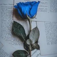 معلم خصوصی پایه اول تا سوم و پیش دبستانی