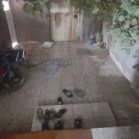 اجاره خانه ویلایی ۸۵ متری ۱ خوابه در مبارکه|اجارهٔ خانه و ویلا|نیشابور, مبارکه|دیوار