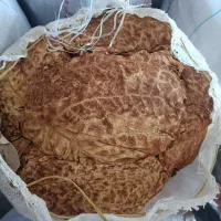 تنباکو برازجانی(بنیاد)