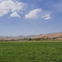 فروش زمین باغی اقساطی. باغ شرایطی. باغچه ویلا|فروش زمین و ملک کلنگی|شیراز, داریون|دیوار