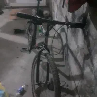 فروشی ویوا ۲۶