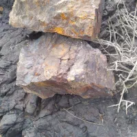 فروش و مشارکت محدوده پلی متال بی نظیر در عقدا