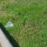 1307متر زمین در سراوان با پروانه|فروش زمین و ملک کلنگی|سنگر, |دیوار