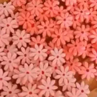 با عضویت در صرافی ۱۰۰ دلار جایزه بگیرید