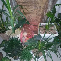 ابنما سنگی|صنایع دستی و سایر لوازم تزئینی|کرج, فاز ۳ گوهردشت|دیوار