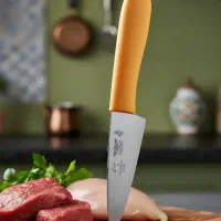 چاقوی زنجان اصل ارسال|ظروف پختوپز|مشکیندشت, |دیوار