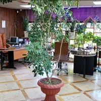 استخدام کارگر ساده و کارگر فنی و منشی تریدر|استخدام معماری، عمران و ساختمانی|کرمان, |دیوار