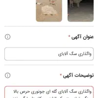 واگذاری سگ آلابای|سگ|گلپایگان, |دیوار
