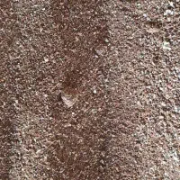 دیگه خوراک دامتو گرون نخر )) خوراک دام و طیور