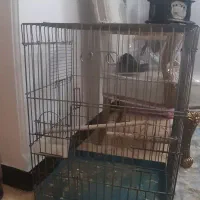 ۲ عدد قفس بزرگ|لوازم جانبی حیوانات|تهران, افسریه شمالی|دیوار