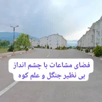آپارتمان شهرکی چشم انداز رو به جنگل سند تک برگ|فروش آپارتمان|کلاردشت, |دیوار