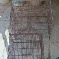 قفس پرنده