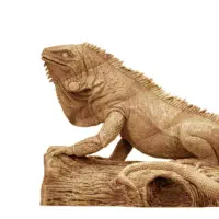 ایگوانا
