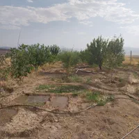 فروش باغ به متراژ ۹۰۰متر در روستای هیبت اللّه|فروش دفتر صنعتی، کشاورزی، تجاری|سنقر, |دیوار