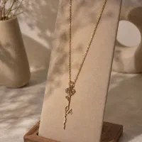 همکار خانم ادمین اینستاگرام و باسلام طلای مینیمال