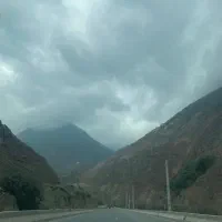 نیاز به همسفر روزانه