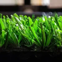 چمن مصنوعی  338000تومن فروش ویژه پاییزه|گل مصنوعی|لاهیجان, بازکیاگوراب|دیوار