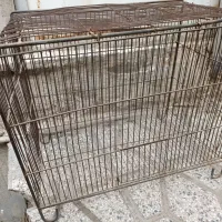 قفس جوجه و کبوتر