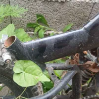 دوچرخه
