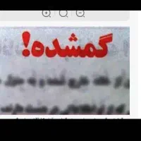 کارت ملی و گواهینامه گم کردم