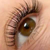 استخدام مژه کار حرفه ای در سالن زیبایی