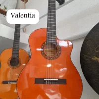 گیتار کارکرده|گیتار، بیس، امپلیفایر|مینودشت, |دیوار