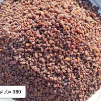 کشمش پلویی پاک کرده|خوردنی و آشامیدنی|گلبهار, شهر جدید گلبهار|دیوار