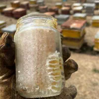 عسل درمانی ۱۰۰٪ طبیعی و ارگانیک