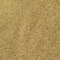 برنج چلتوک فجر