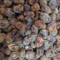 خرما برحی|خوردنی و آشامیدنی|اهواز, کوی سعدی|دیوار