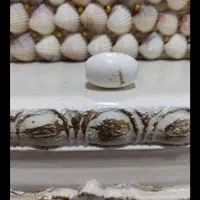 انواع مهره اصلی۱