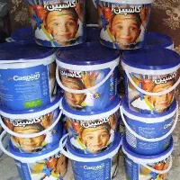 رنگ نیم پلاستیک کاسپین