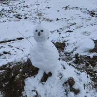 داروخانه آنلاین